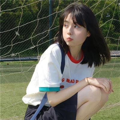神犬小七第二季